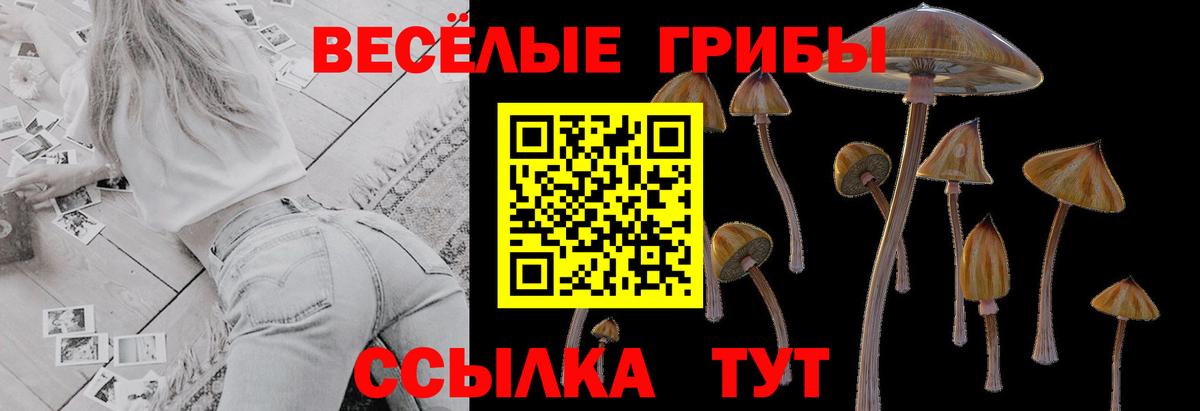 Псилоцибиновые грибы прущие грибы  Вход с VPN  Борисоглебск 